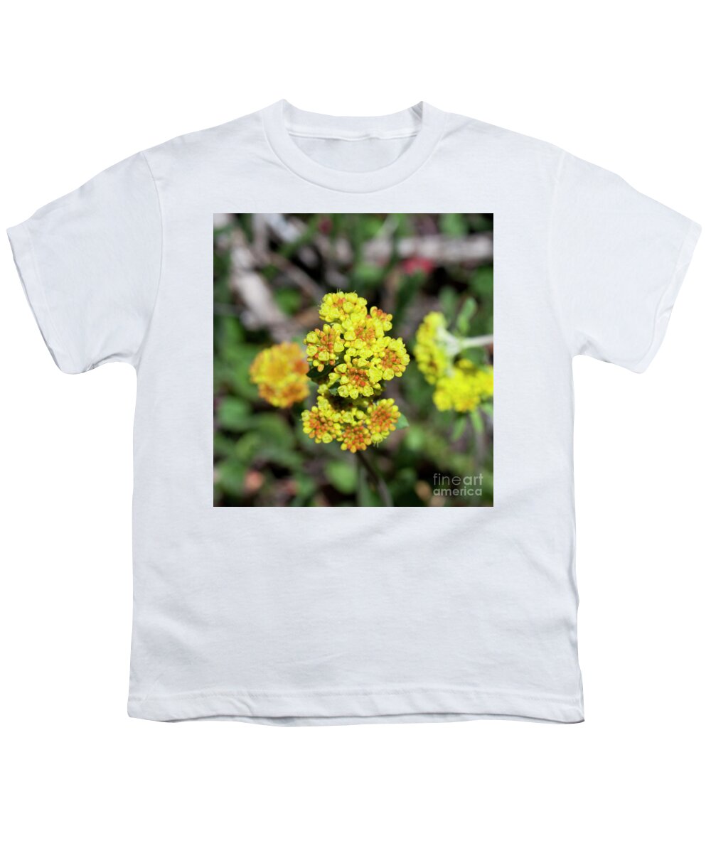 Grand Mesa Youth T-Shirt featuring the photograph Kannah Creek Sulfur Flower by Julia McHugh