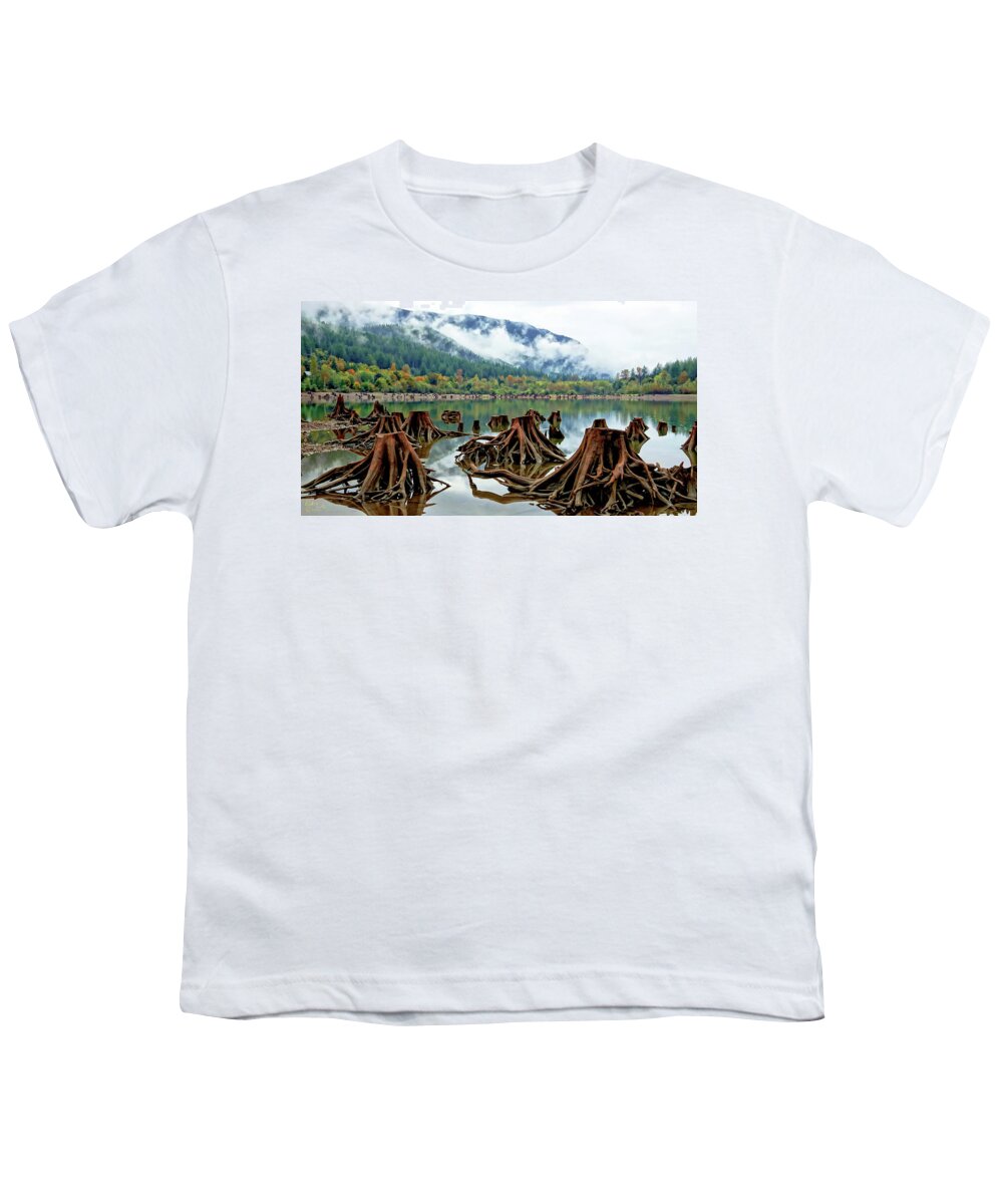Trees Youth T-Shirt featuring the photograph Leftovers by Rick Lawler