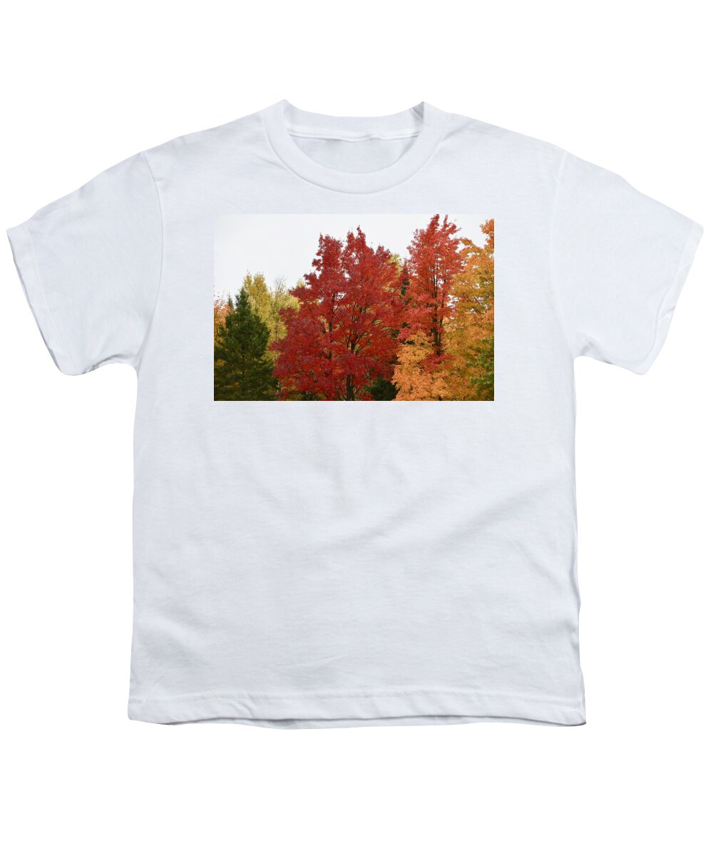 Maple. Red. Tree Youth T-Shirt featuring the photograph Maple Steals The Show by Hella Buchheim