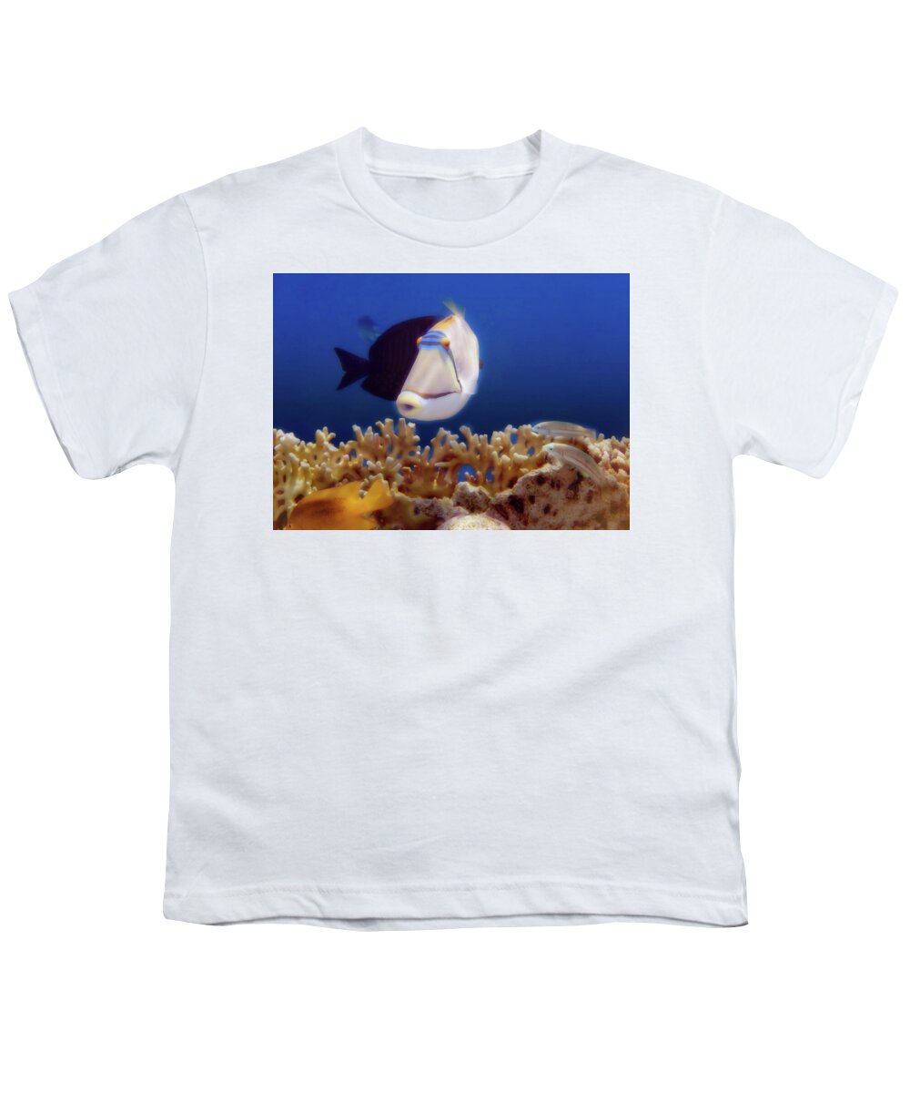 Fish Youth T-Shirt featuring the photograph Meeting The Picasso Fish by Johanna Hurmerinta