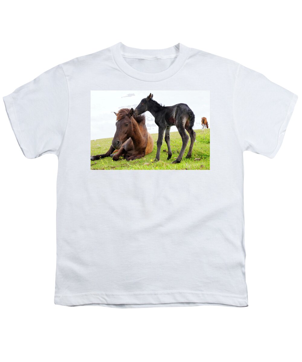 00648208 Youth T-Shirt featuring the photograph Misaki Horse Foal Nuzzling Mare by Hiroya Minakuchi