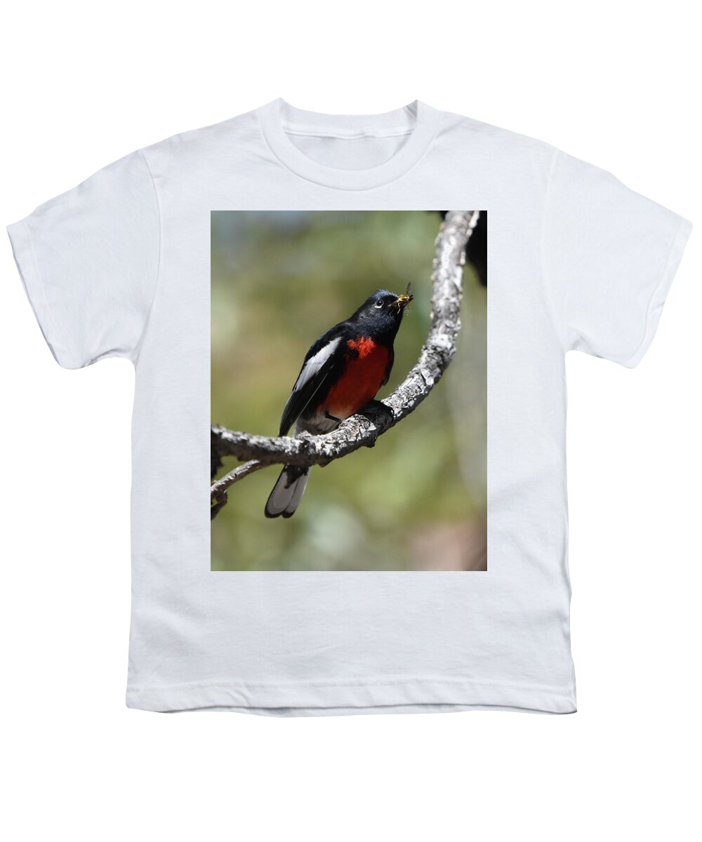 Bird Youth T-Shirt featuring the photograph Painted Restart with a Catch by Ben Foster