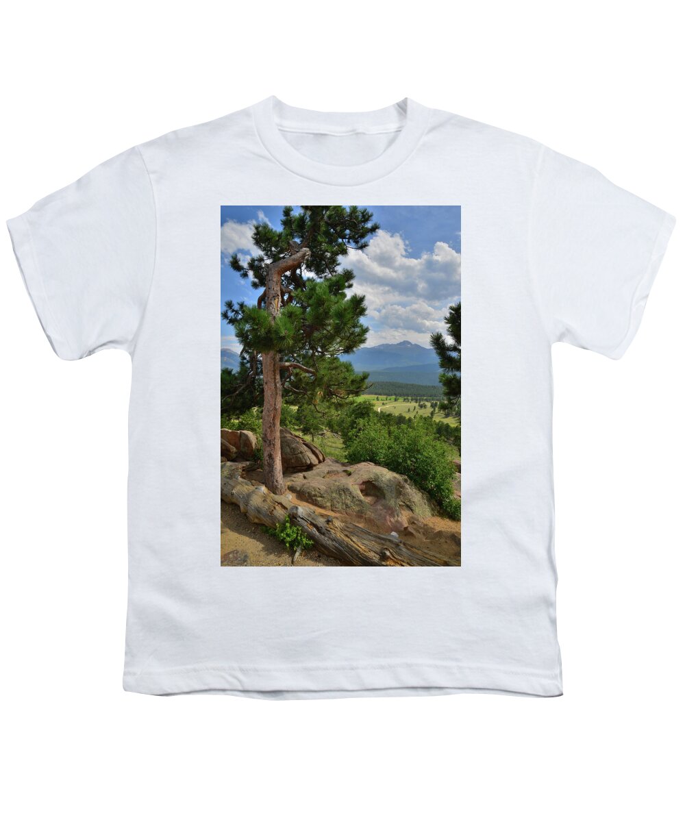 Rocky Mountain National Park Youth T-Shirt featuring the photograph Ponderosa Pines along Trail Ridge in Rocky Mountain NP by Ray Mathis