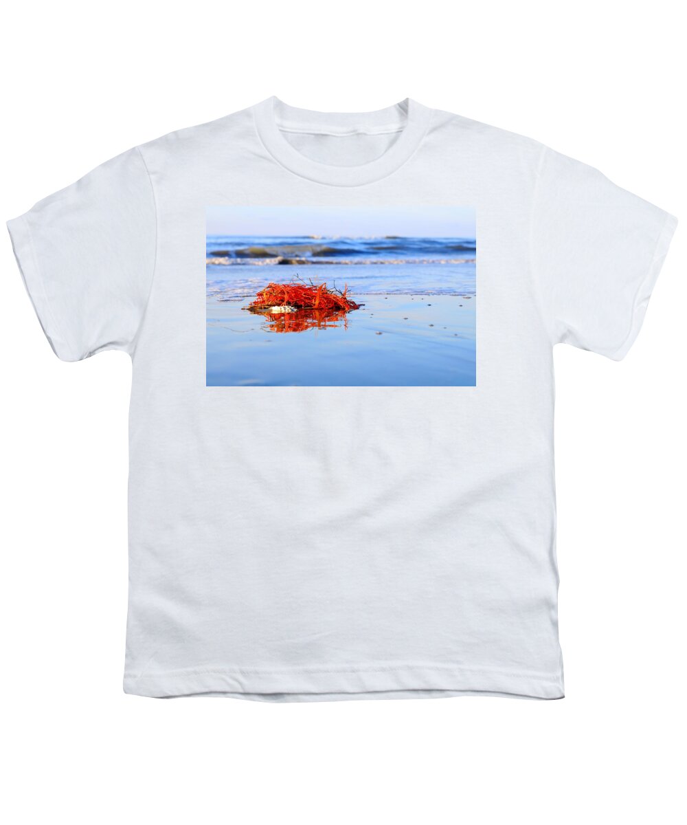 Red Seaweed Youth T-Shirt featuring the photograph Red Seaweed Washes Up With the Tide by Carol Montoya