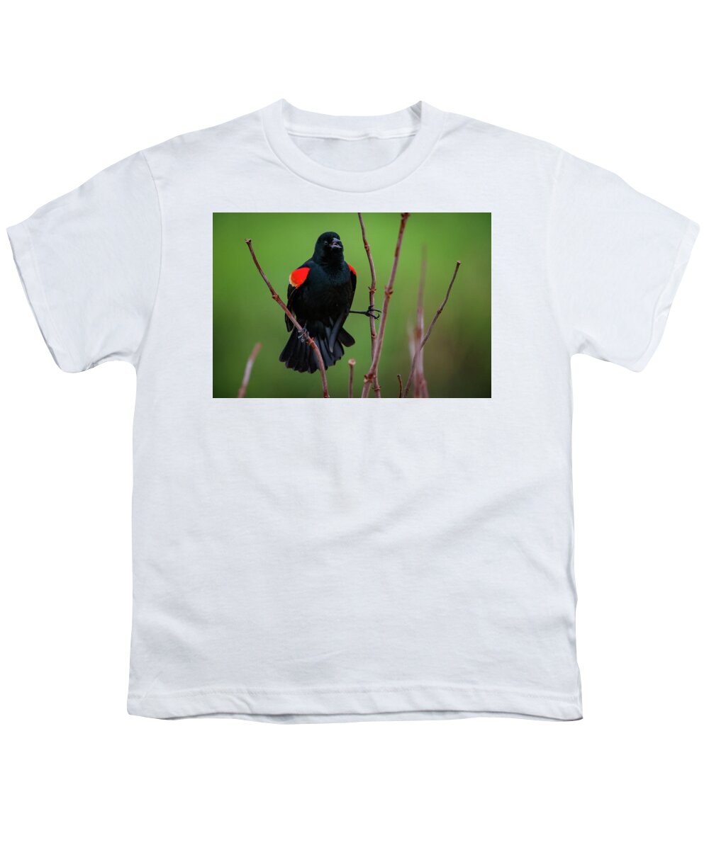 Missouri Youth T-Shirt featuring the photograph Red Winged Blackbird by Jeff Phillippi