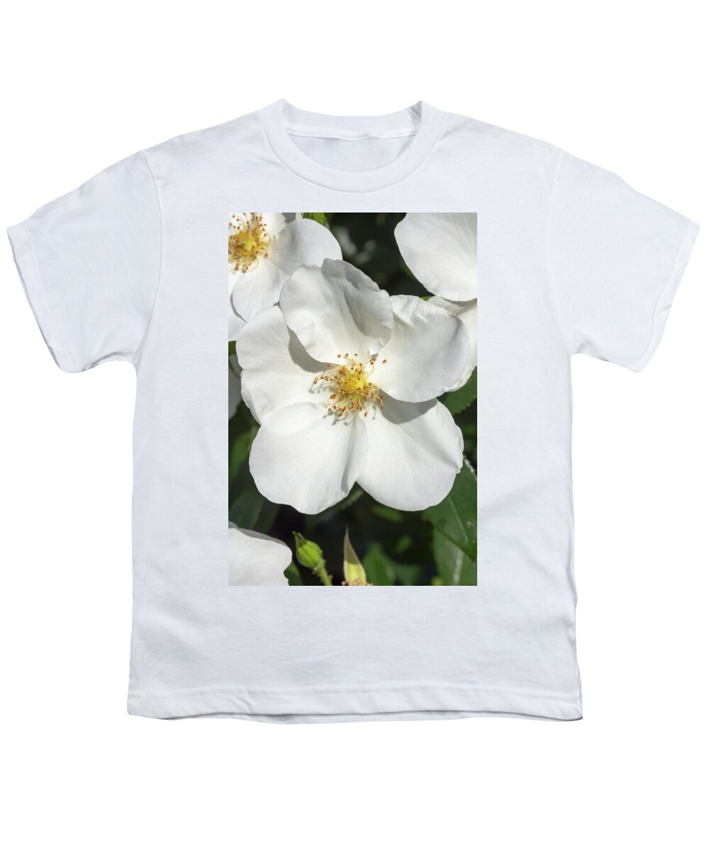 Flower Youth T-Shirt featuring the photograph Rosa Eskimo by Dawn Cavalieri