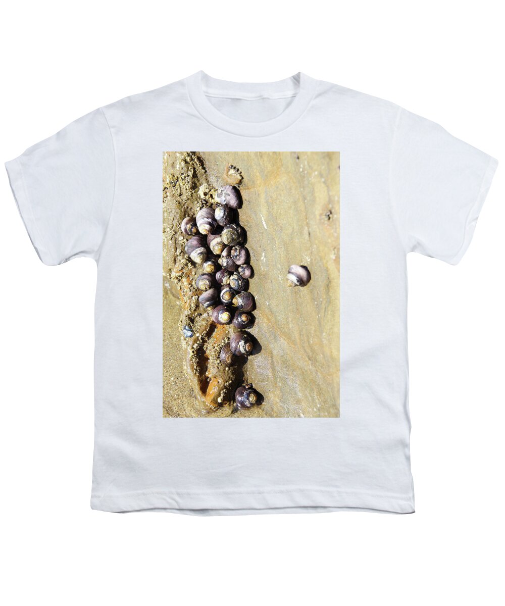 Coast Youth T-Shirt featuring the photograph Sea snail cluster by Steve Estvanik