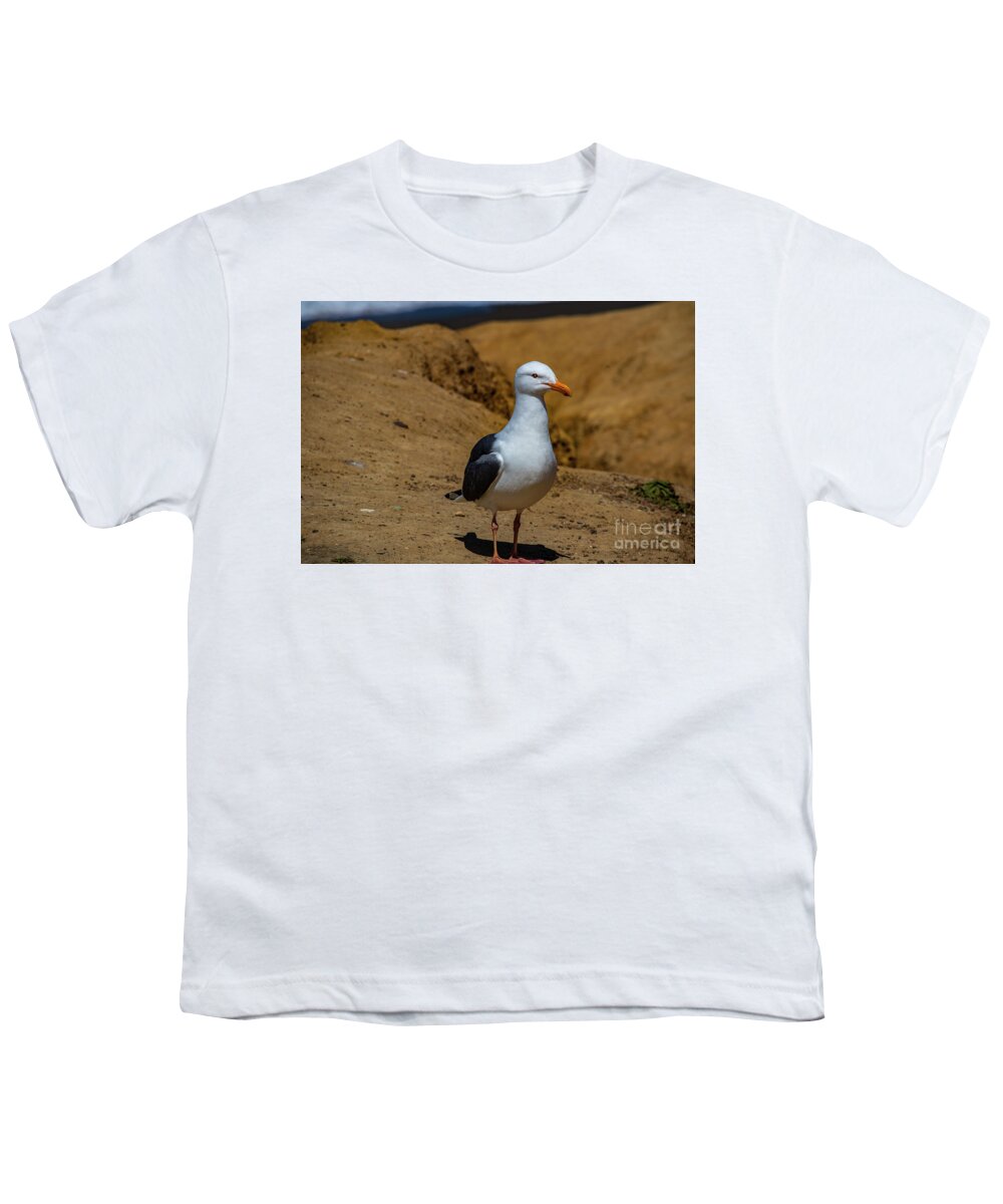 Wildlife Youth T-Shirt featuring the photograph Seagull by Thomas Marchessault