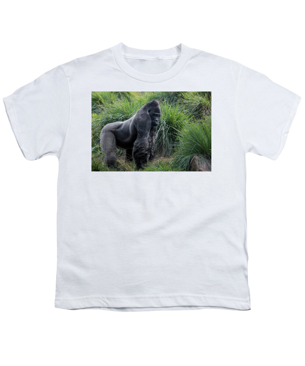Captured Animals Youth T-Shirt featuring the photograph Silverback Stare 1806 by Donald Brown