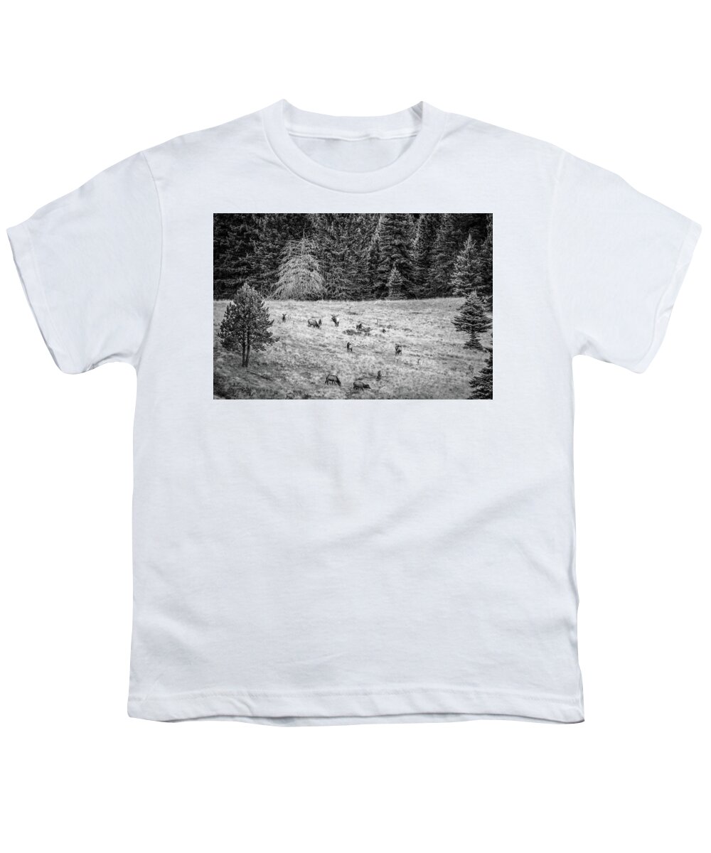 Valles Caldera National Preserve Youth T-Shirt featuring the photograph The California Mother and Daughter by Jeff Phillippi