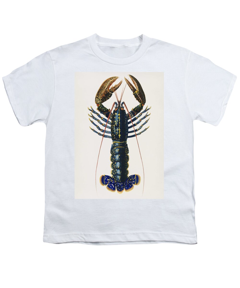 Vector Youth T-Shirt featuring the painting Vintage Illustration of Crimson Crawfish Palemon Ornatum by Celestial Images