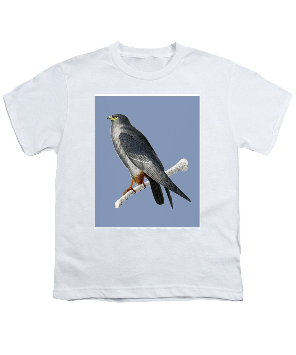 Nature Youth T-Shirt featuring the painting Vintage Illustration of Red footed Falcon Falco rufipes 2 by Celestial Images