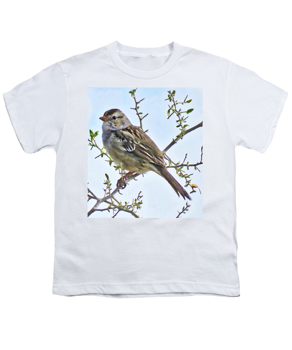Affordable Youth T-Shirt featuring the photograph White-Crowned Sparrow on Creosote by Judy Kennedy