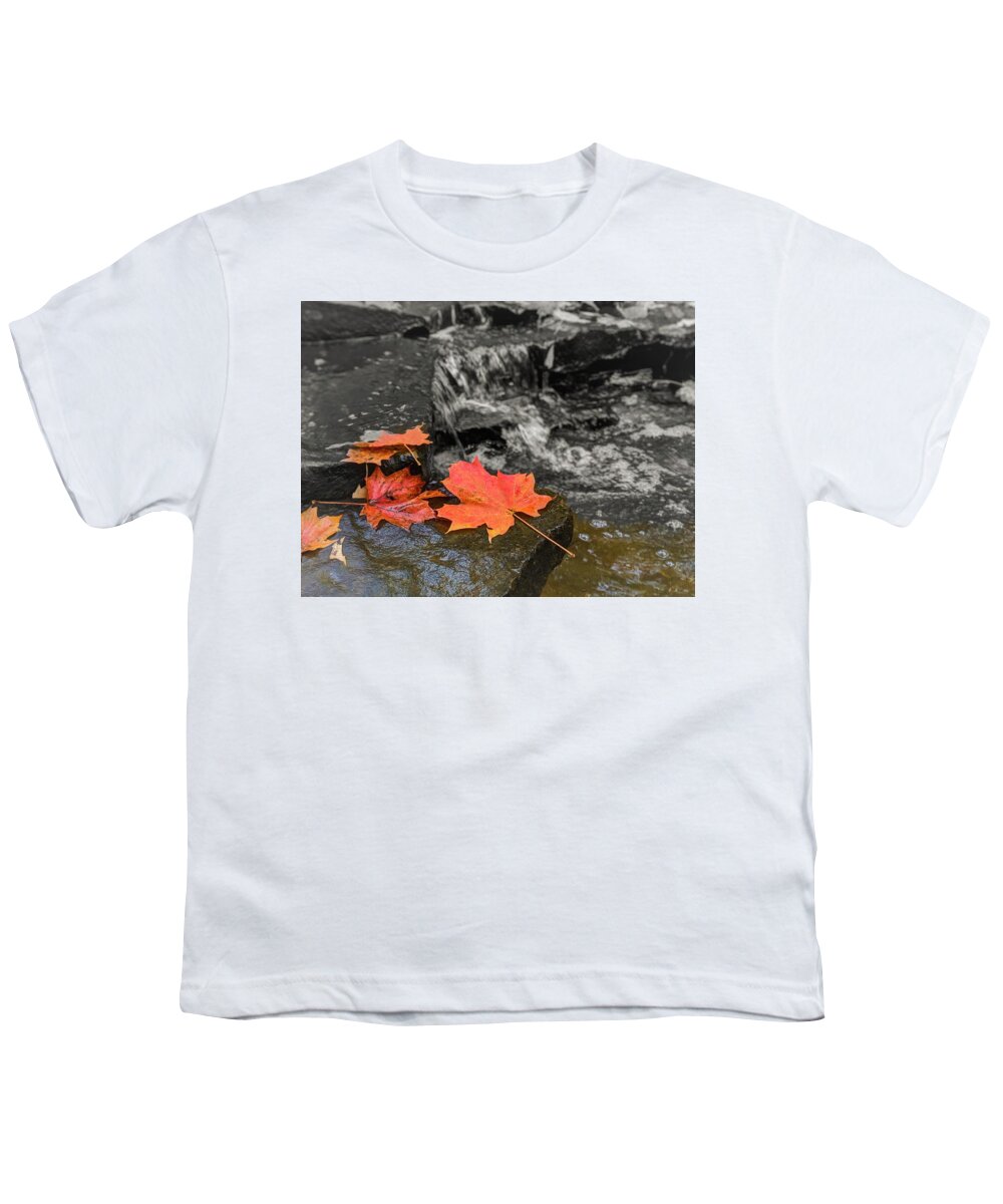  Youth T-Shirt featuring the photograph Fall Leaves by Brad Nellis
