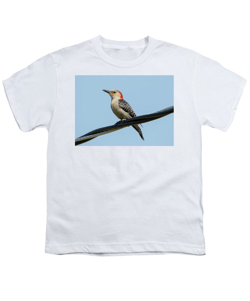Woodpecker Youth T-Shirt featuring the photograph Red-Bellied Woodpecker #1 by Holden The Moment