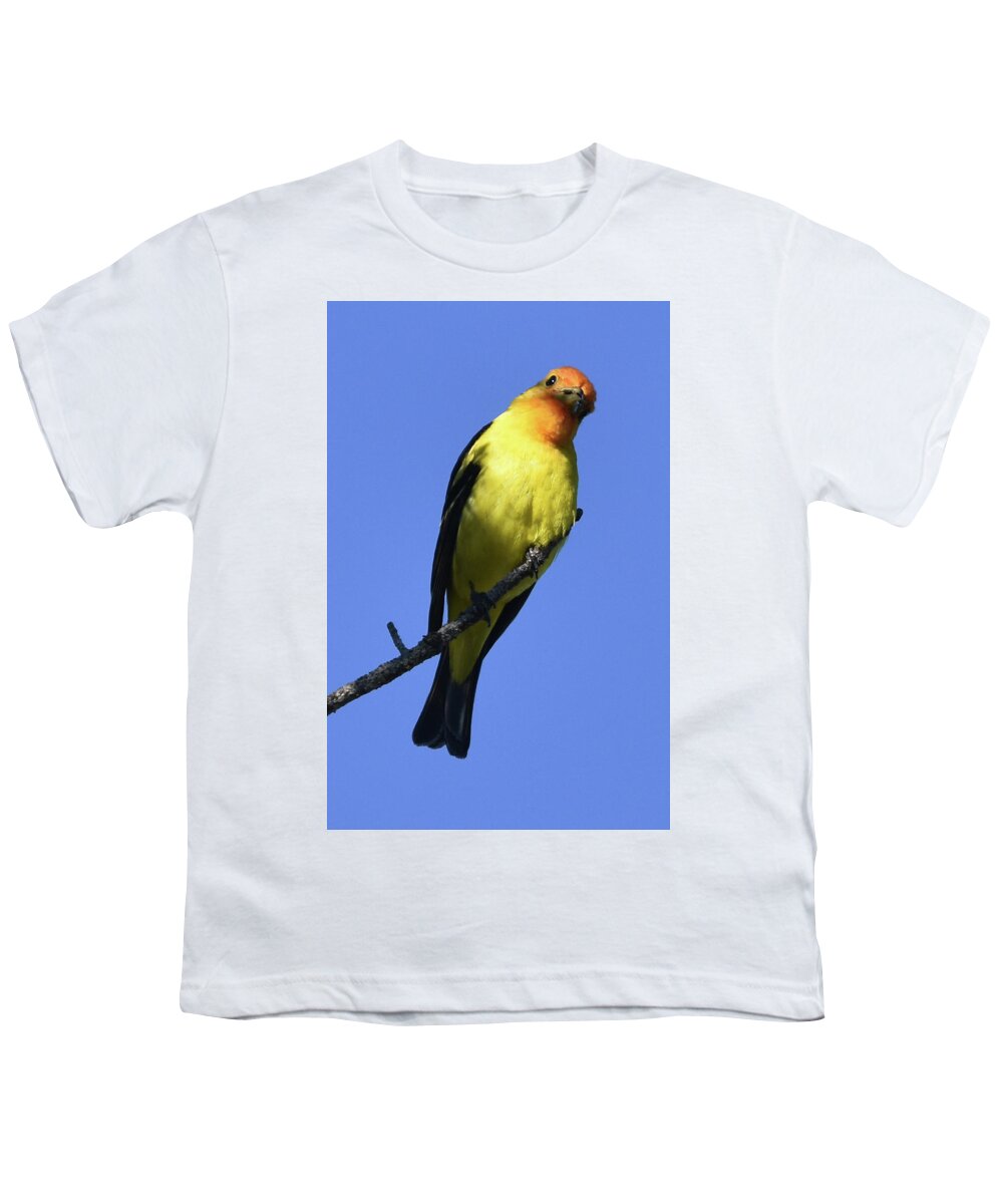 Tanager Youth T-Shirt featuring the photograph Western Tanager #1 by Ben Foster