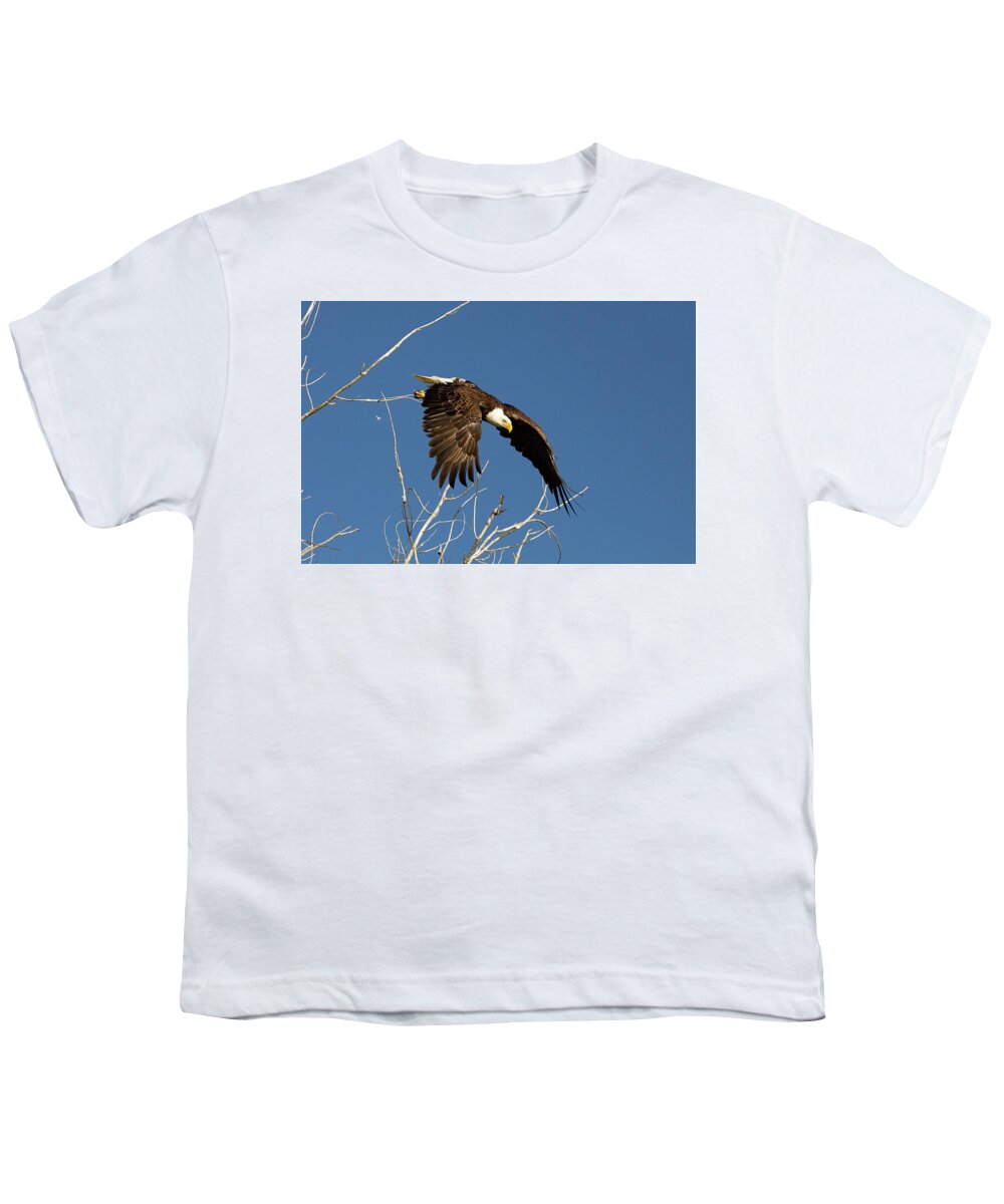 Bald Eagle Youth T-Shirt featuring the photograph Bald Eagle Takes a Dive #2 by Tony Hake