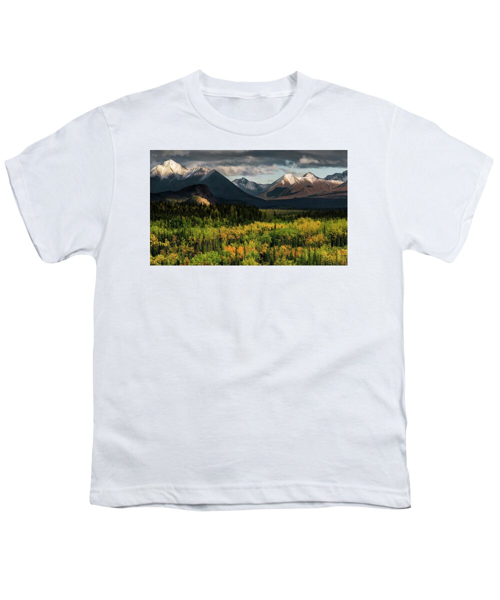 Alaska Youth T-Shirt featuring the photograph Alaska - autumn colors at Denali national park by Olivier Parent