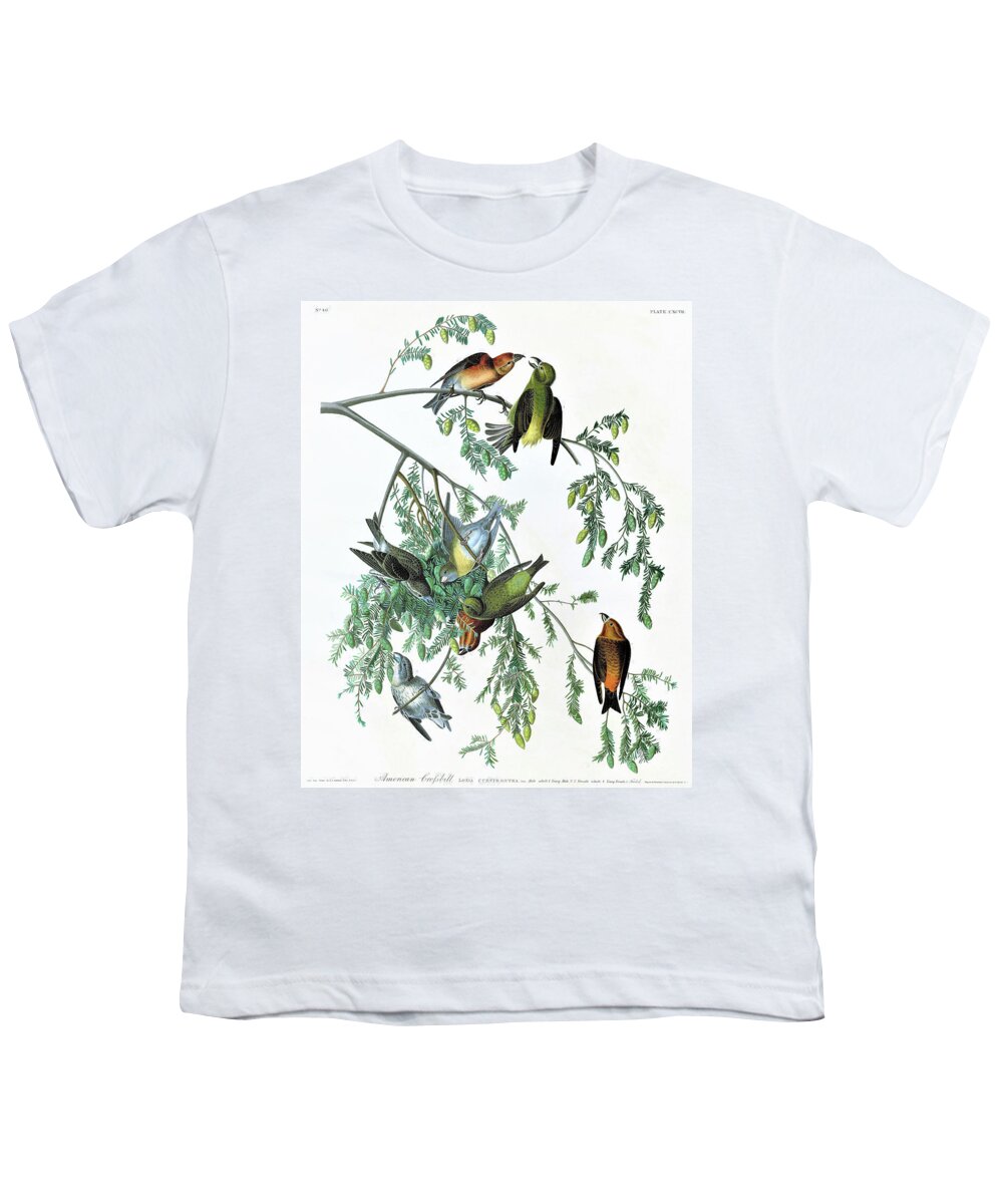 American Crossbill Youth T-Shirt featuring the painting American Crossbill - Digital Remastered Edition by John James Audubon