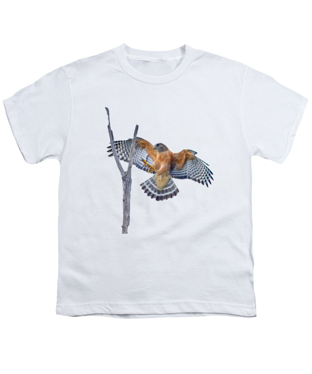 Red Shouldered Hawk Youth T-Shirt featuring the photograph Red Shouldered Hawk Landing by Mark Andrew Thomas