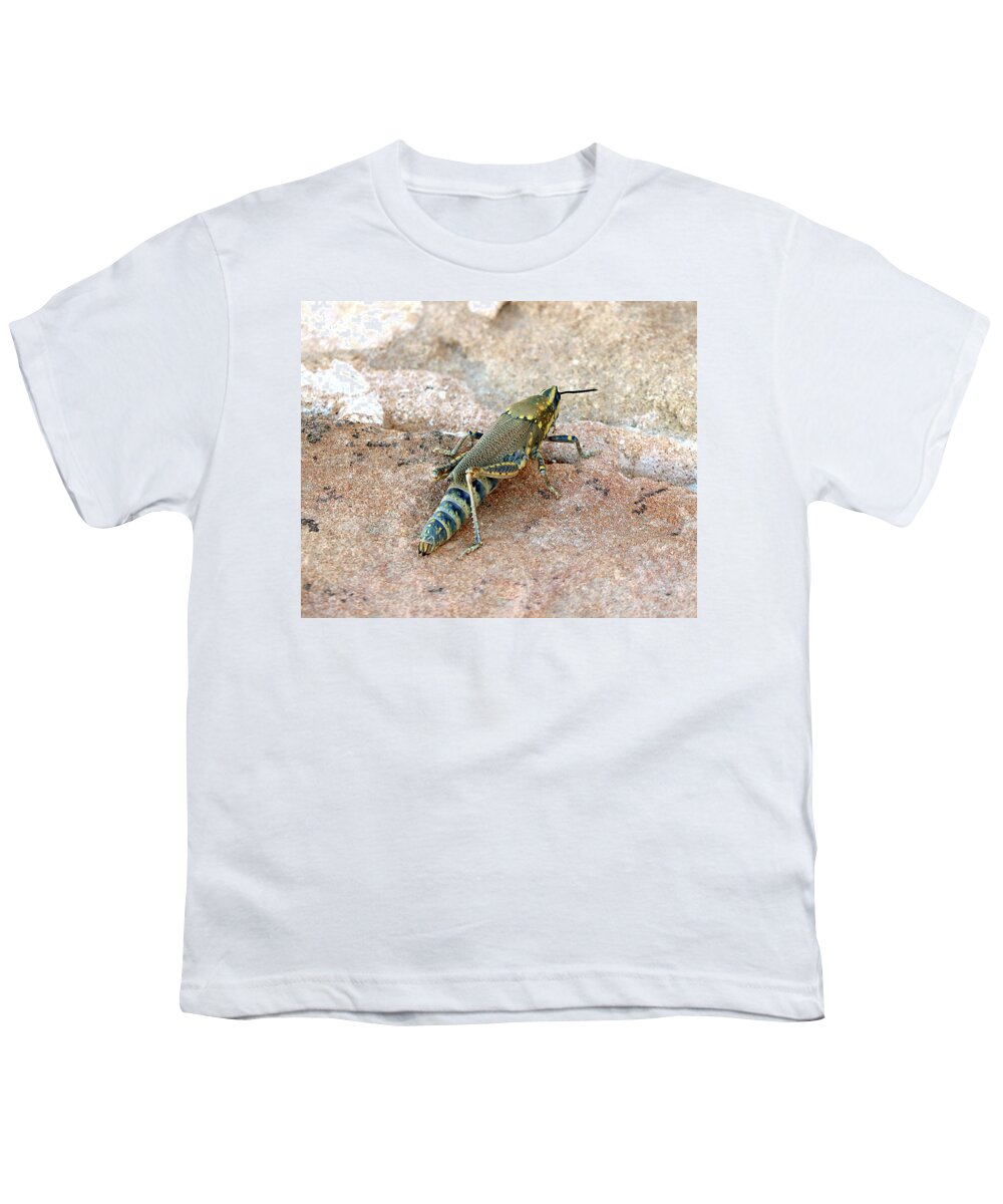  Youth T-Shirt featuring the photograph Birds 5 by Eric Pengelly