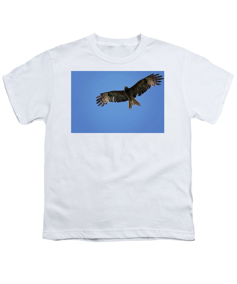Animals Youth T-Shirt featuring the photograph Black Kite soaring overhead by Maryse Jansen