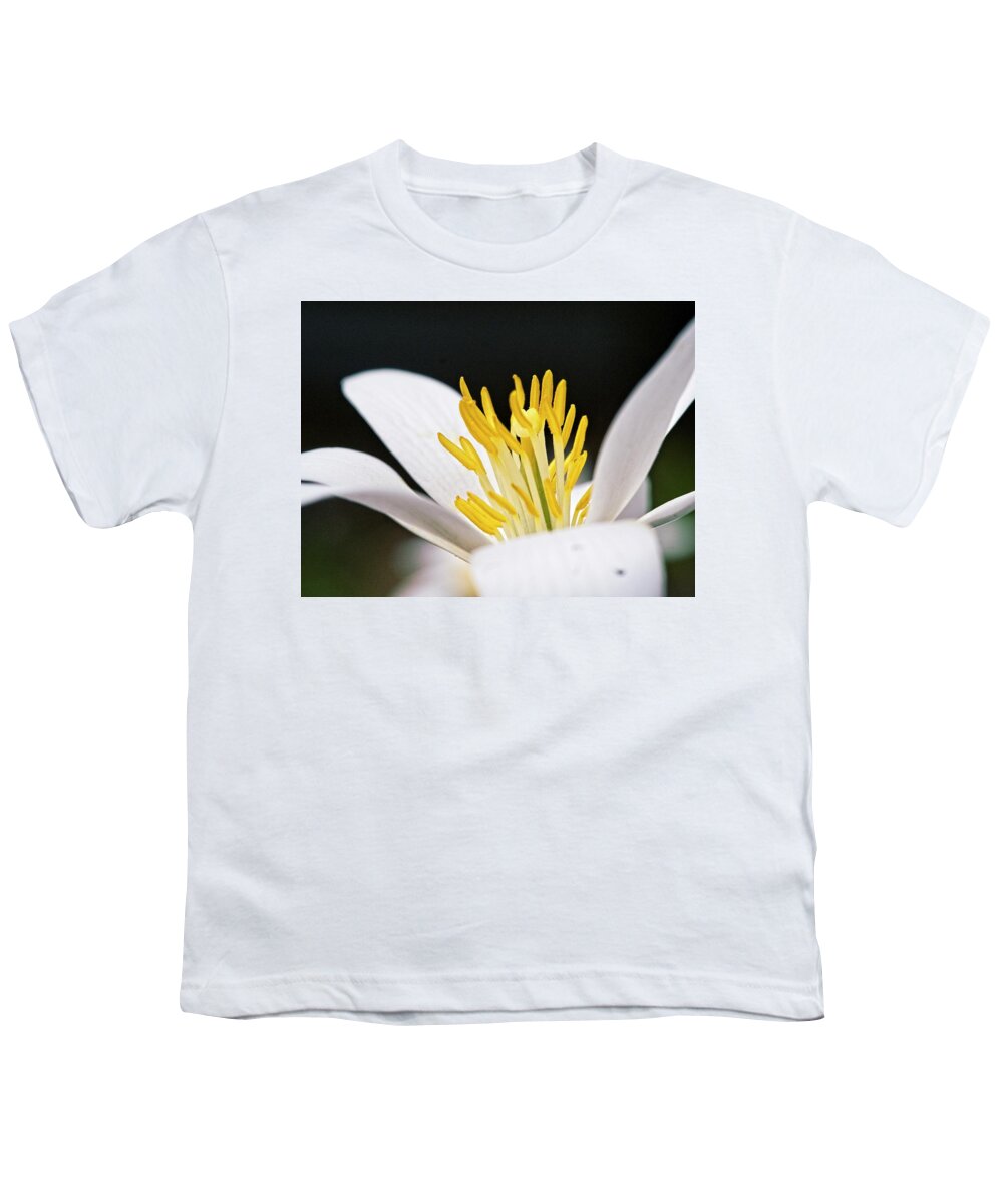 Flowers Youth T-Shirt featuring the photograph Bloodroot 4 by Steven Ralser
