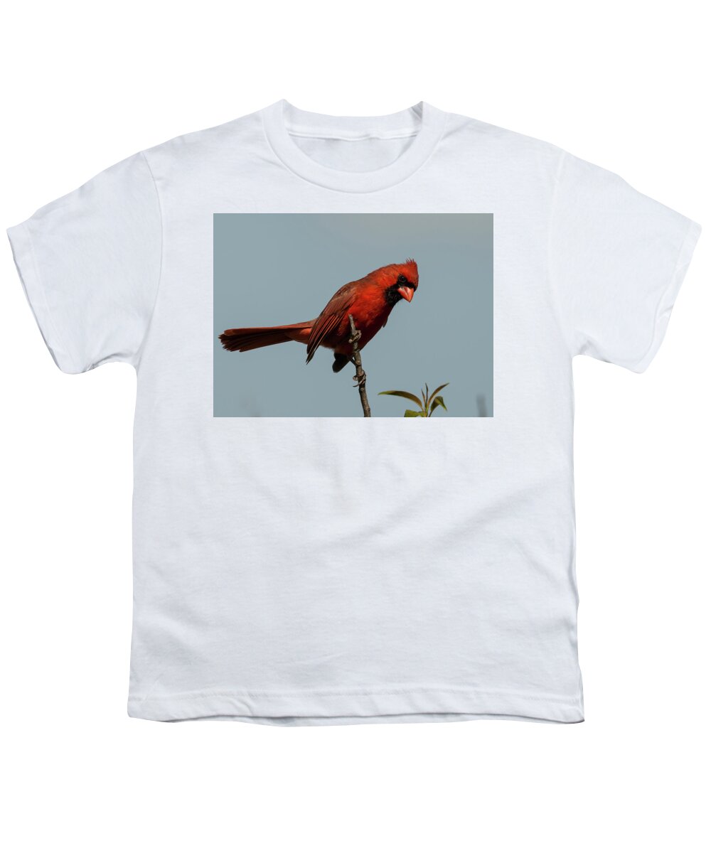 Bird Youth T-Shirt featuring the photograph That Look by Doug McPherson