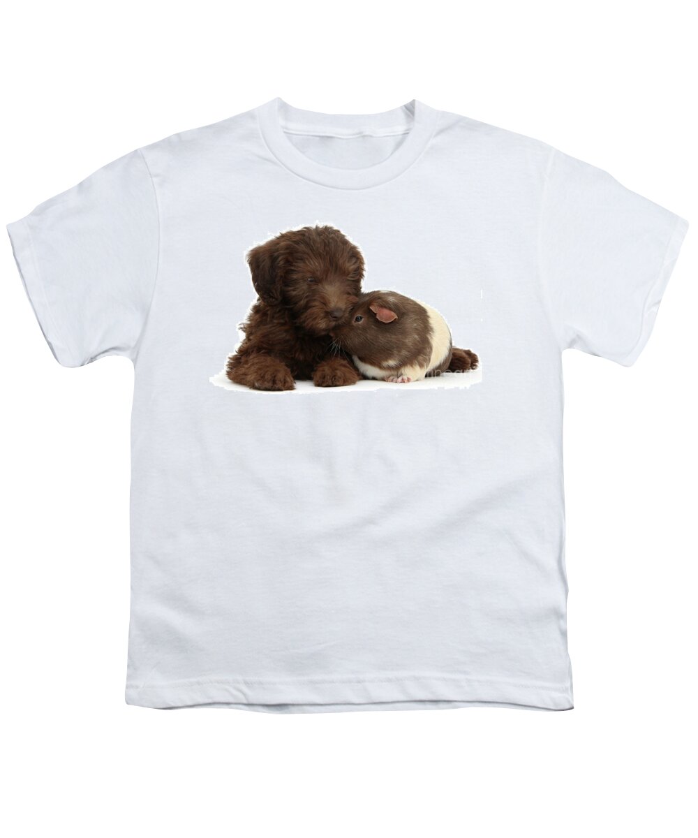 Chocolate Labradoodle Youth T-Shirt featuring the photograph Chocolate Lovers by Warren Photographic