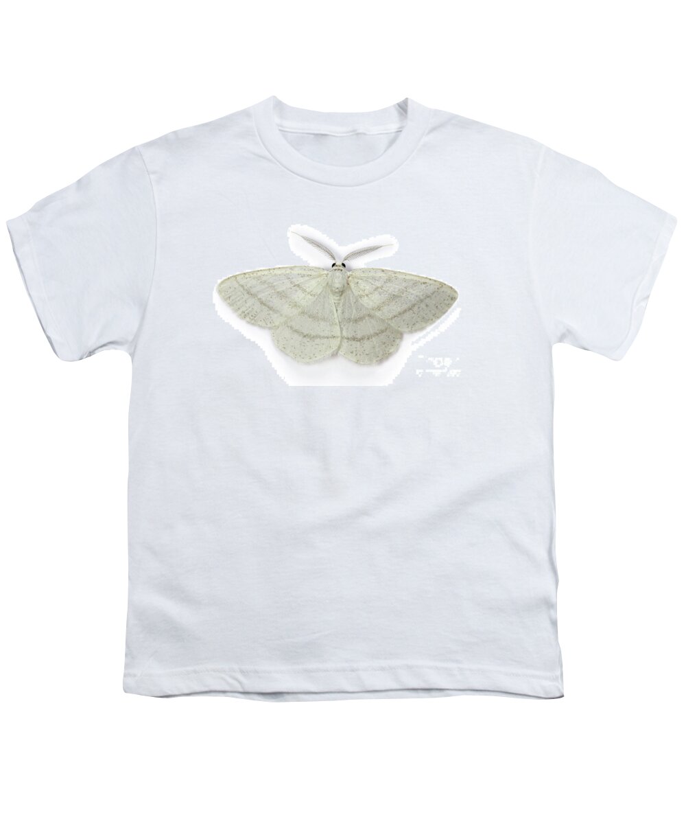 Common White Wave Youth T-Shirt featuring the photograph Common White Wave moth by Warren Photographic