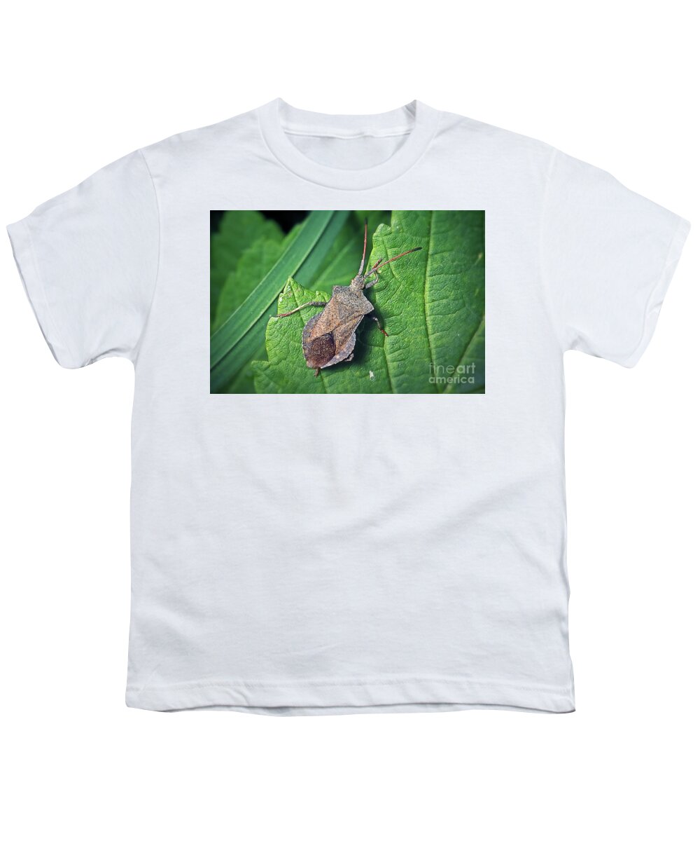 Photo Youth T-Shirt featuring the photograph Coreus marginatus Dock Bug Insect by Frank Ramspott