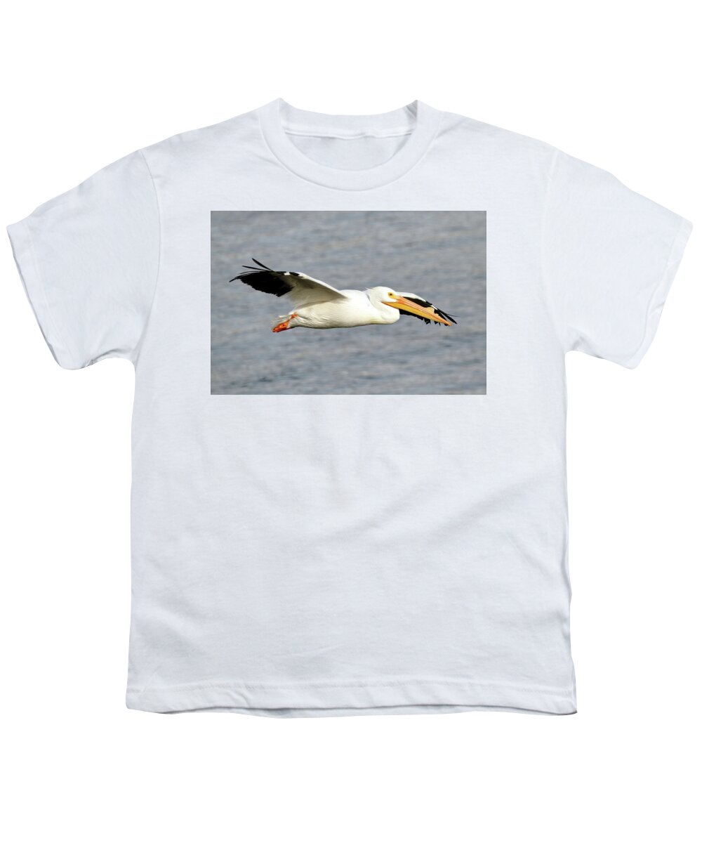 Pelicans Youth T-Shirt featuring the photograph Cruising Along by Lens Art Photography By Larry Trager