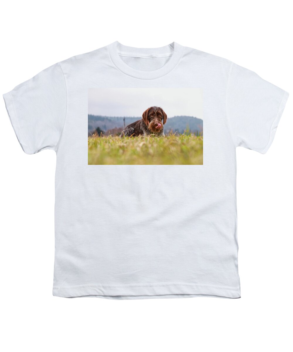 Bohemian Wire Youth T-Shirt featuring the photograph Female dog is laughing his head off. Bohemian wire dog is scratching her muzzle. Itchiness is evil. by Vaclav Sonnek