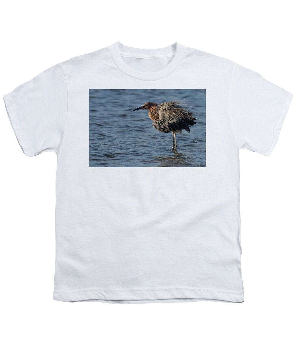 Reddish Egret Youth T-Shirt featuring the photograph Fluffing by RD Allen