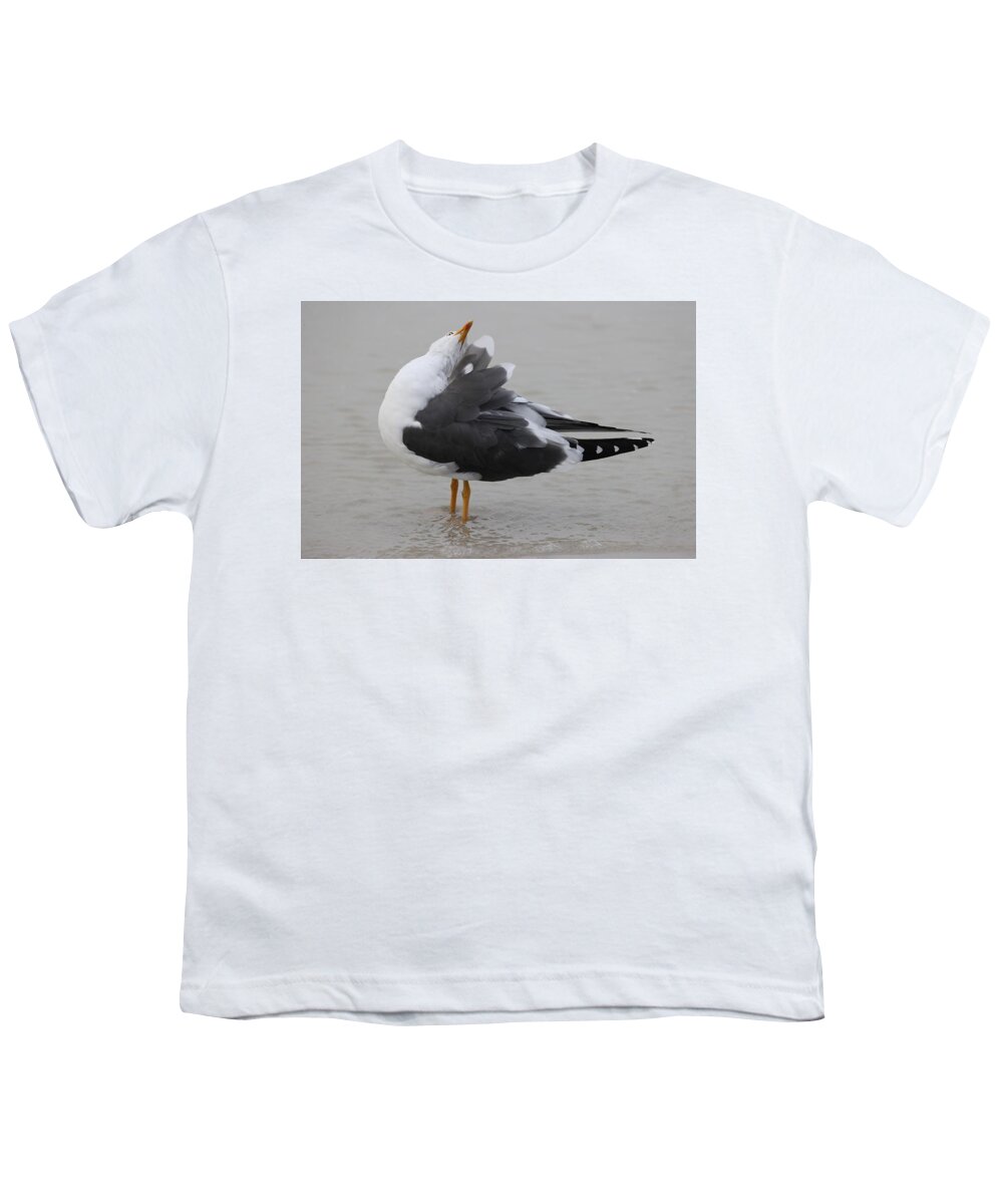 Herring Gulls Youth T-Shirt featuring the photograph Fluffy Beauty by Mingming Jiang