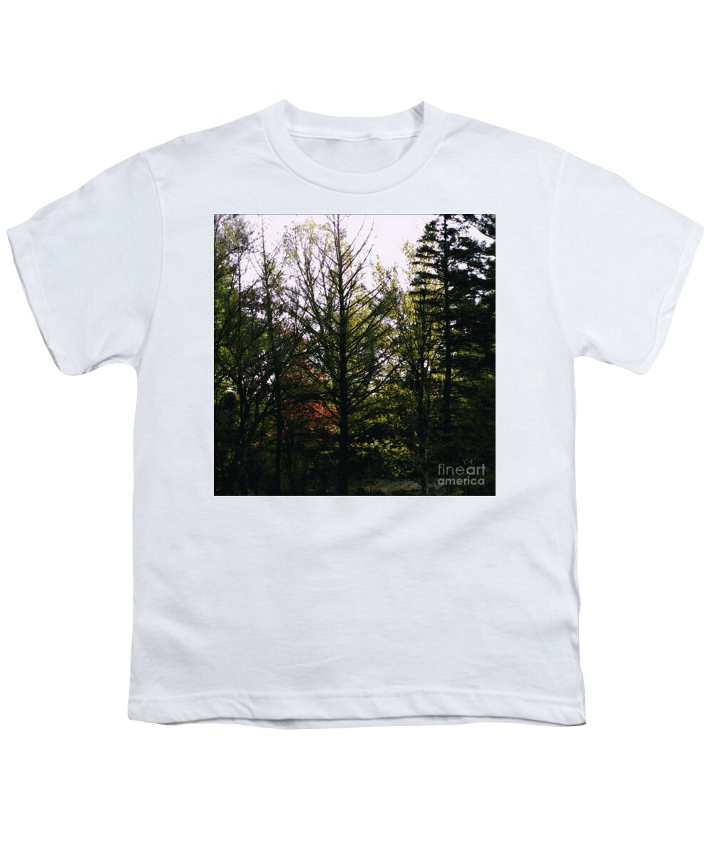 Landscape Youth T-Shirt featuring the photograph Forest Morning Light Impressionism by Frank J Casella