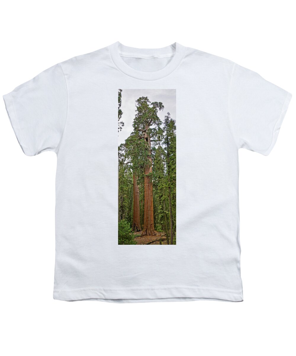 Giant Sequoia Youth T-Shirt featuring the photograph Oregon Tree Kings Canyon National Park by Brett Harvey