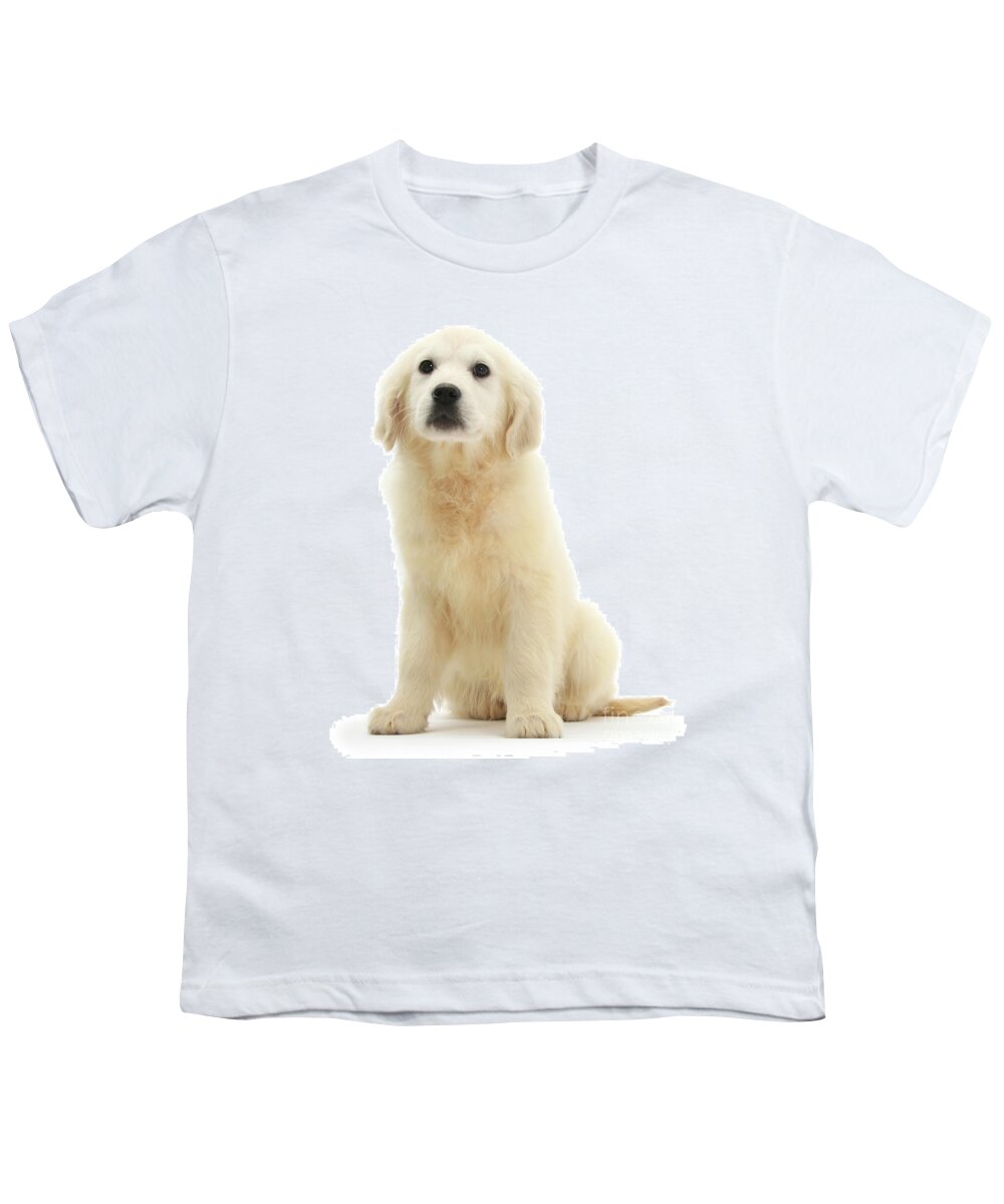 Golden Retriever Youth T-Shirt featuring the photograph Golden Retriever pup by Warren Photographic
