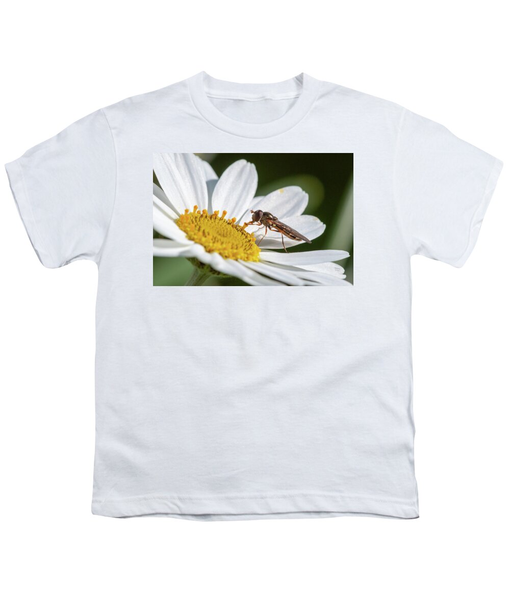 Japanese Anemone Youth T-Shirt featuring the photograph Hoverfly Feeding by Rob Hemphill