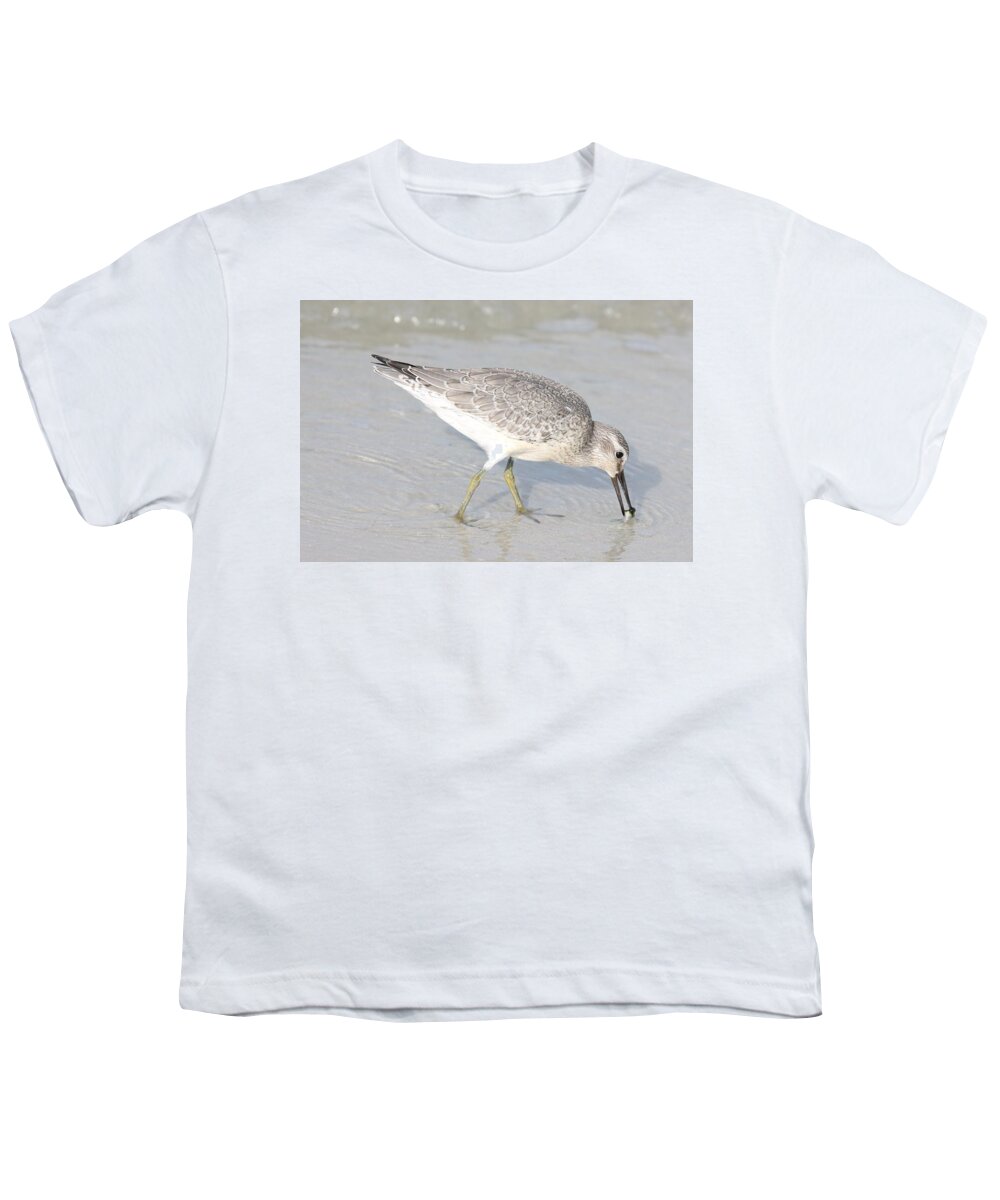Red Knot Youth T-Shirt featuring the photograph Juvenile Red-Knot by Mingming Jiang