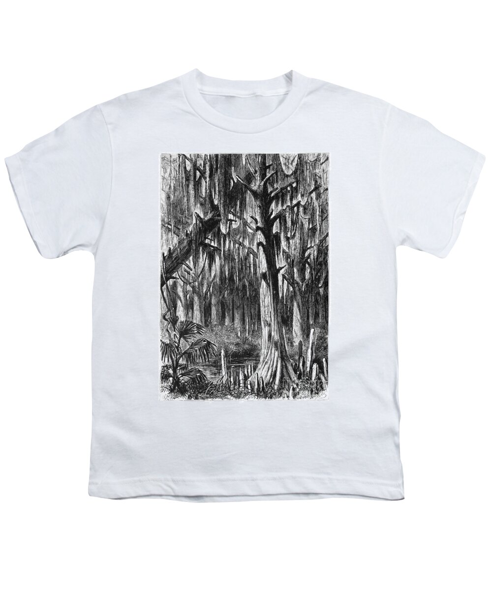 1872 Youth T-Shirt featuring the drawing Louisiana Swamp by Alfred Rudolph Waud
