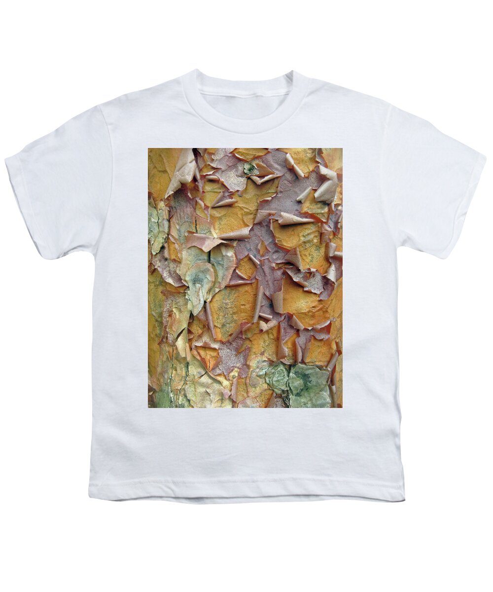 Tree Youth T-Shirt featuring the photograph Paperbark Maple Tree by Jessica Jenney
