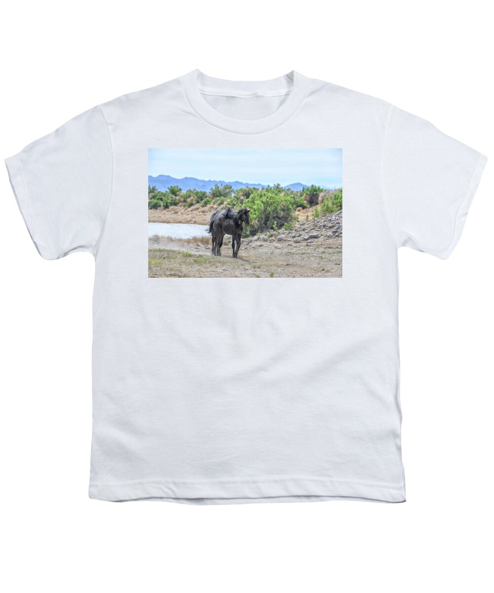 Horse Youth T-Shirt featuring the photograph Raven and Little Star by Fon Denton