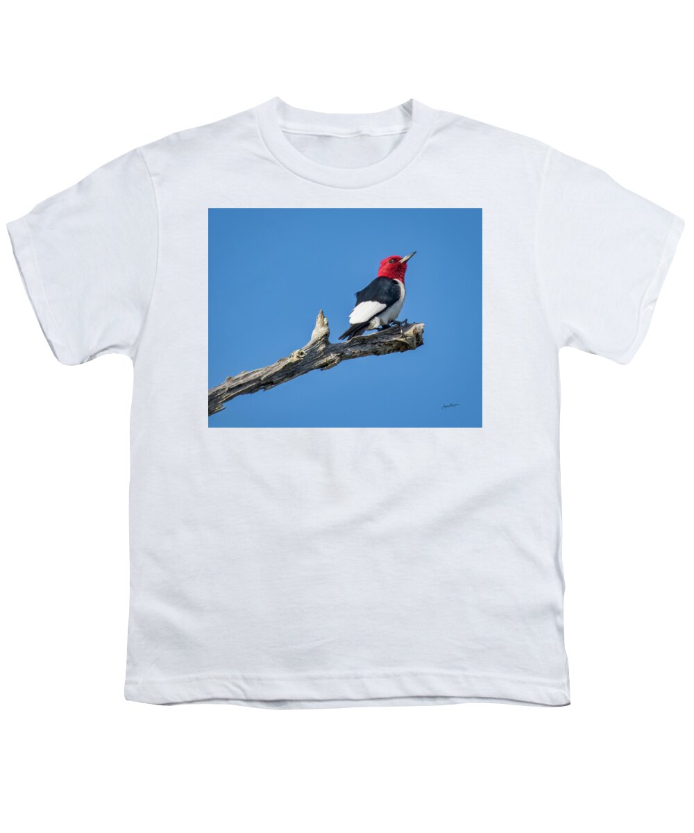 Red-headed Woodpecker Youth T-Shirt featuring the photograph Red-headed Woodpecker by Jurgen Lorenzen