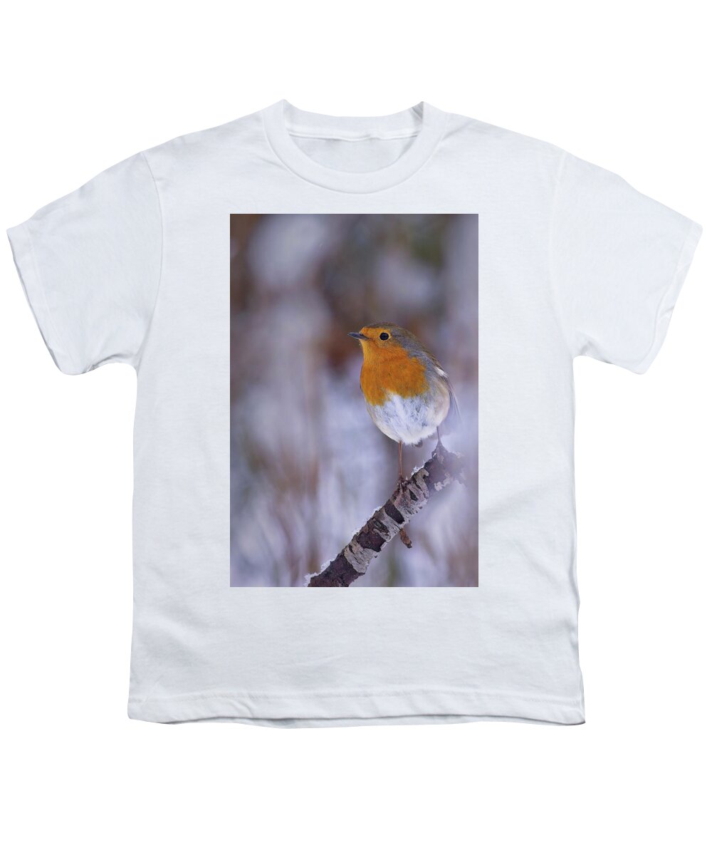 Erithacus Rubecula Youth T-Shirt featuring the photograph Robin in the snow by Tony Mills