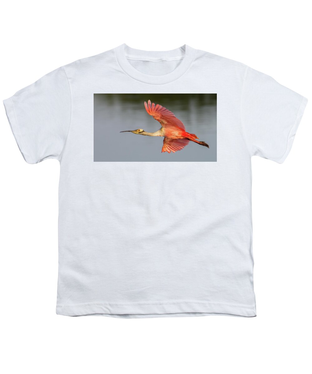 Roseate Spoonbill Youth T-Shirt featuring the photograph RSB In Flight #2Long by RD Allen