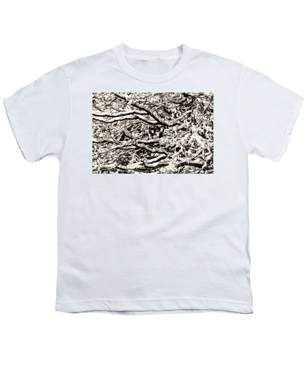 Snow Branch Tree B&w Youth T-Shirt featuring the photograph Snow Branch by John Linnemeyer