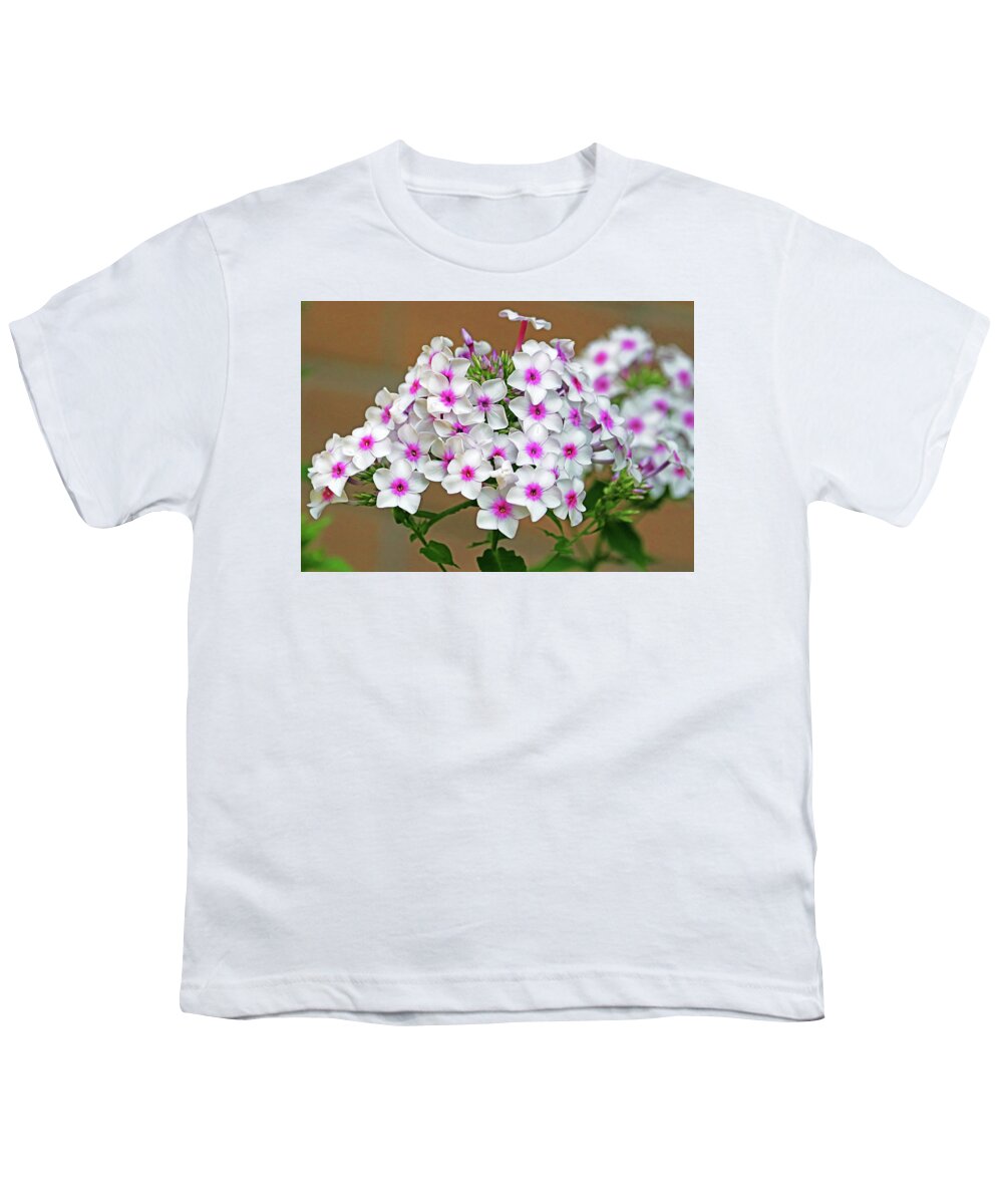 Phlox Youth T-Shirt featuring the photograph Summer Phlox by Debbie Oppermann
