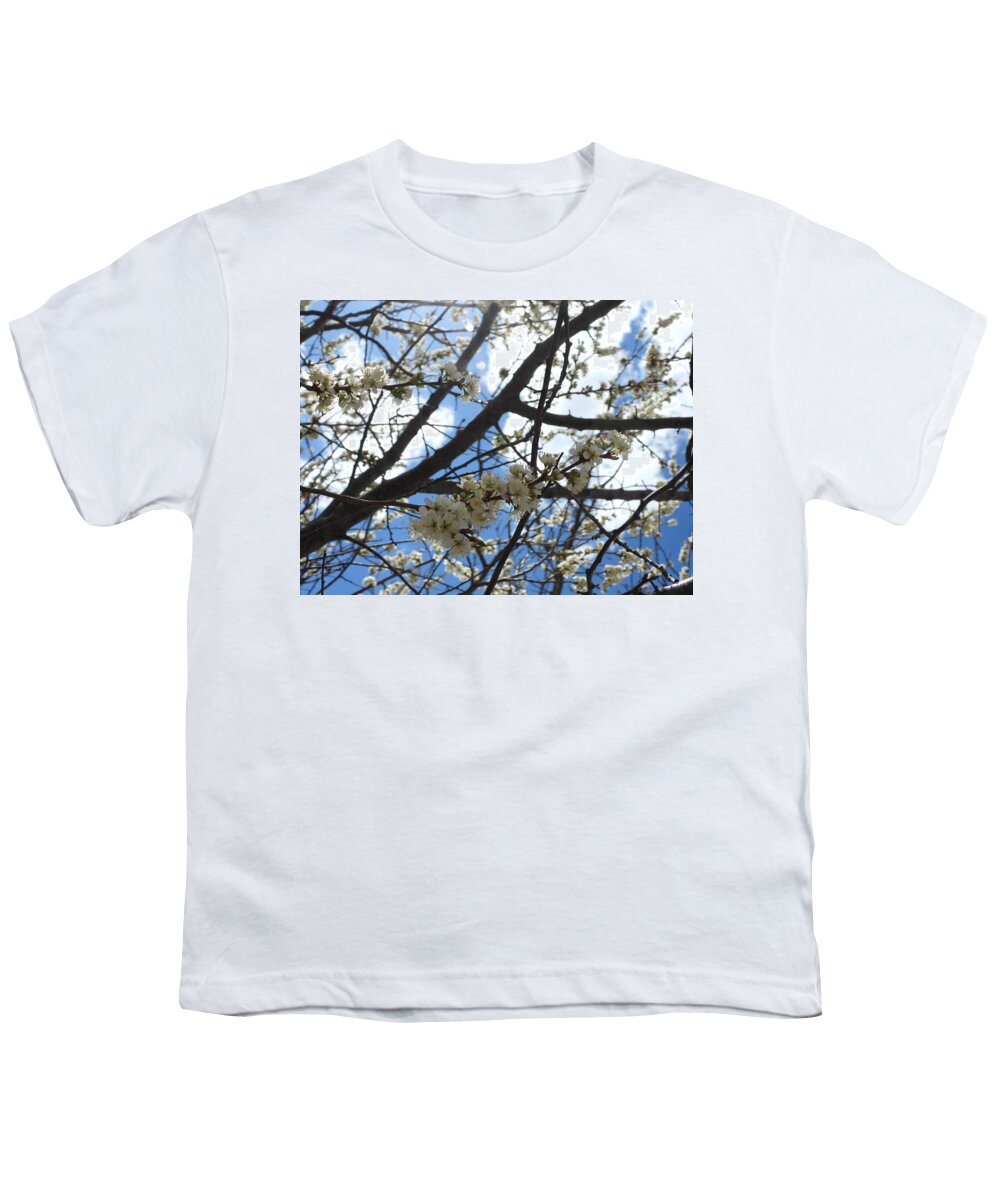 Spring Youth T-Shirt featuring the photograph Sunlit Blossoms by Amanda R Wright