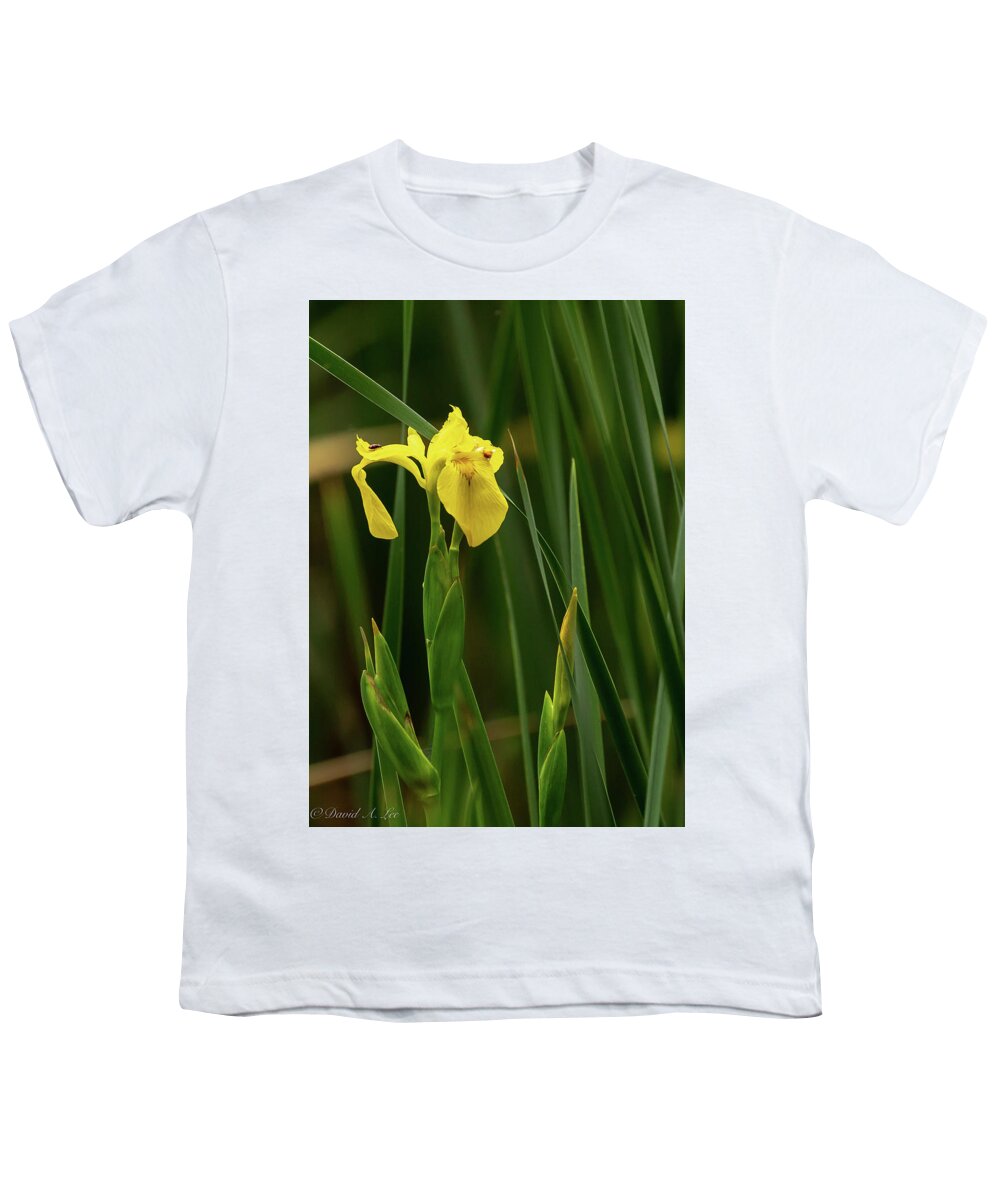 Flower Youth T-Shirt featuring the photograph Yellow Flag Iris by David Lee